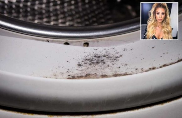 Mrs Hinch fans swear by 95p Wilko hack that removes mould from washing machines with no faff involved | The Sun