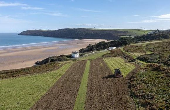 National Trust plans to create a 'savannah' across Devon by 2030