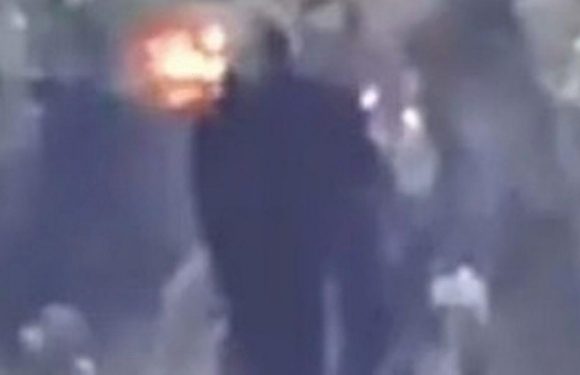 Pictures of Bigfoot-like creature hiding in trees shows huge size of the ‘beast’