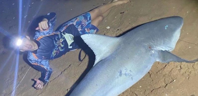Shark hunter, 16, prefers nights risking life in sea to playing video games