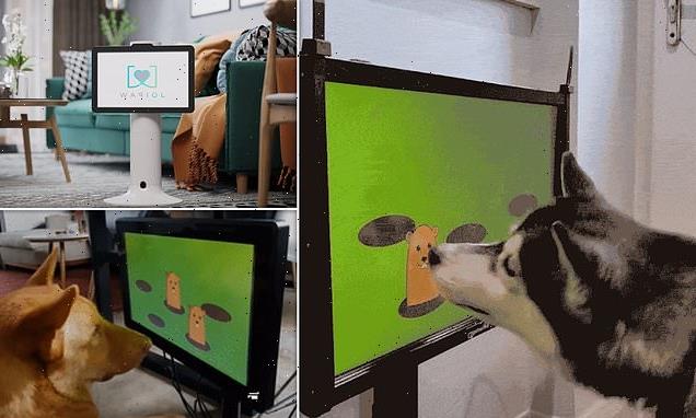 Start-up develops video games for dogs