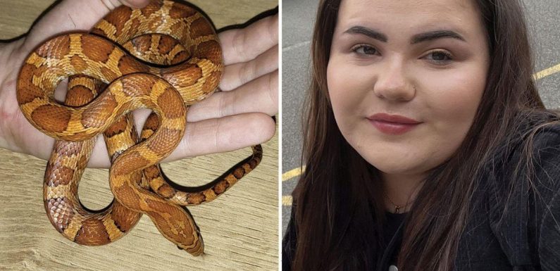 Terrified woman wakes up at 4am to find bright orange snake in bed with her