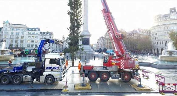 Trafalgar Square tree mocked as Britons compare Christmas horror to ‘smear test’