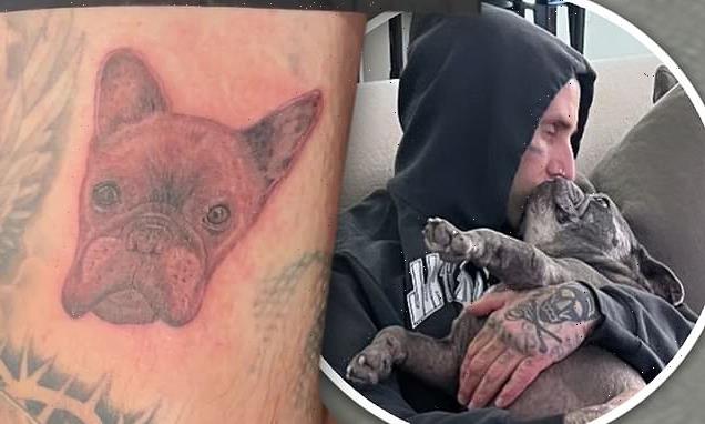 Travis Barker gets tattoo of late French bulldog Blue