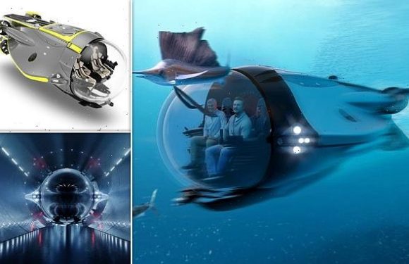 Ultra-luxury submarine can carry three passengers 984ft underwater