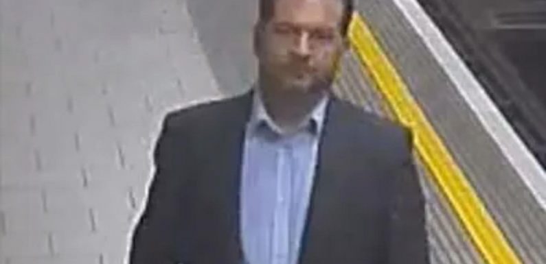 Woman sexually assaulted while waiting to get on the Tube as cops release CCTV image of suspect | The Sun