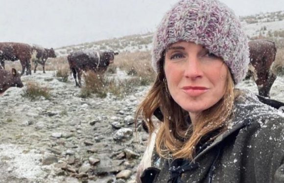 Amanda Owen reveals how Christmas was 'blighted' after 'vicious' ordeal | The Sun