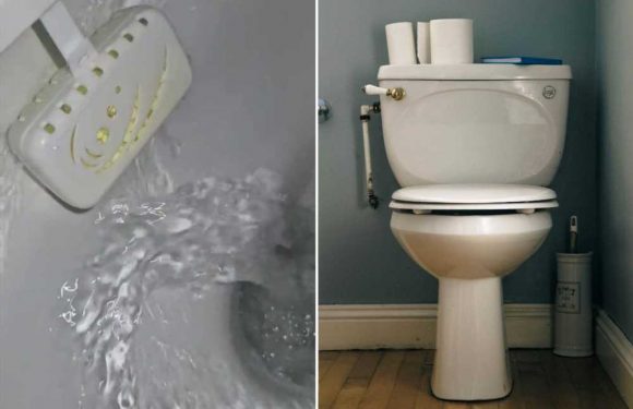 Cleaning fanatic shows off easy way she keeps her loo smelling fresh – and it’s all about a 23p buy | The Sun