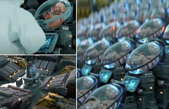 Could BIRTHING PODS solve Elon Musk's fears of a population collapse?