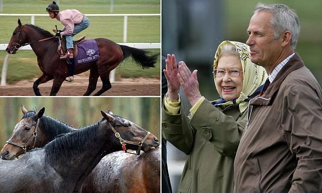 EDEN CONFIDENTIAL: Queen's favourite stallion dies on Christmas Eve