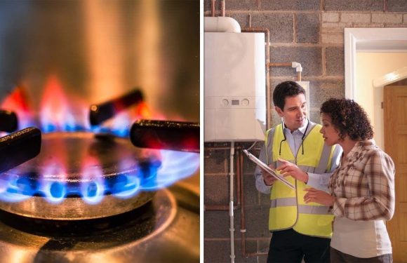 Energy blow as ‘green’ gas alternative set to cost 11 times more