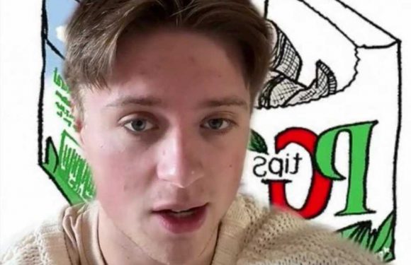 From PG Tips to the sugar-loving Tetley lovers, tea whizz reveals what your favourite brand says about you | The Sun