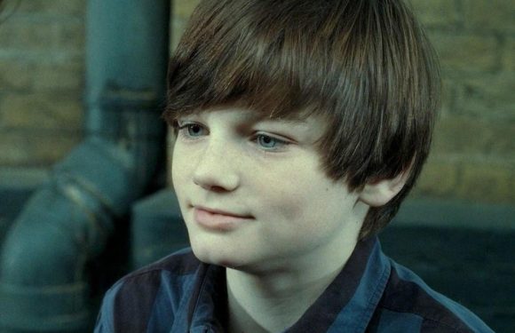 Harry Potter’s Arthur Bowen is unrecognisable 11 years after playing Albus Severus Potter in the movie | The Sun