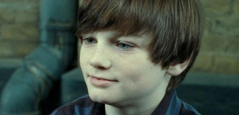 Harry Potter’s Arthur Bowen is unrecognisable 11 years after playing Albus Severus Potter in the movie | The Sun