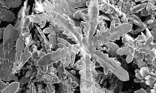Metal snowflakes the thickness of a human hair could lead to new tech