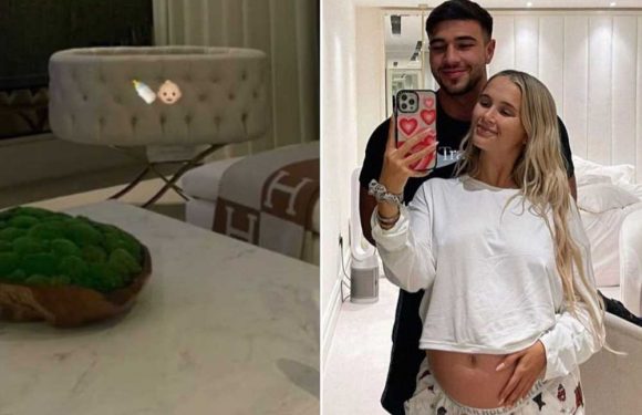 Molly-Mae Hague shells out £2.5k on a Moses basket for her baby girl – and people think it might be custom made | The Sun