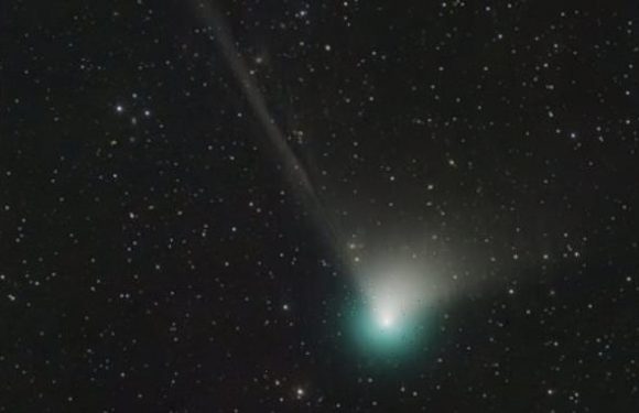 New image shows comet last seen by Neanderthals 50,000 years ago