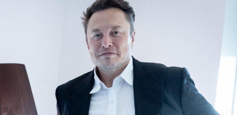 Outrage at Musk as firm under investigation after 1,500 animal deaths