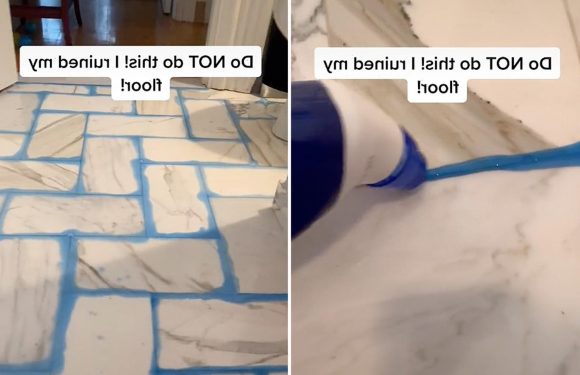 People warned not to try TikTok viral 'grout cleaning hack' – which will eat away at your floor | The Sun