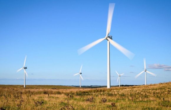 Scottish resident furious as they face wind turbines up to 260m