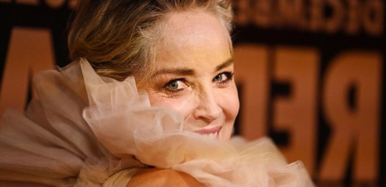 Sharon Stone makes dramatic entrance in huge dress at Film Festival