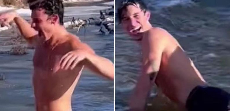 Shawn Mendes sends fans wild as he strips off to boxers for racy Christmas dip