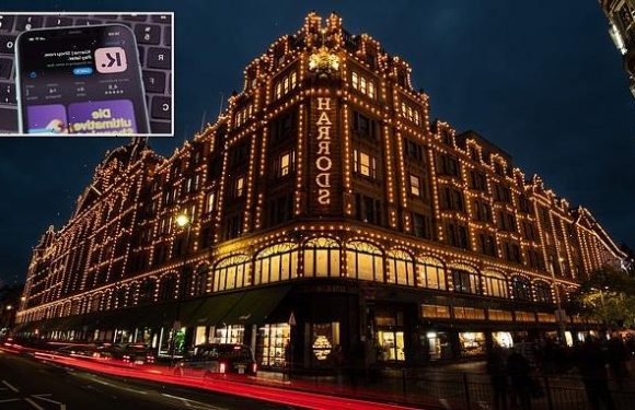 Shoppers at Harrods can use buy-now-pay-later scheme with Klarna