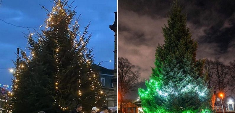 UK’s worst Christmas trees 2022 – blood-filled baubles and £20k ‘omnishambles’