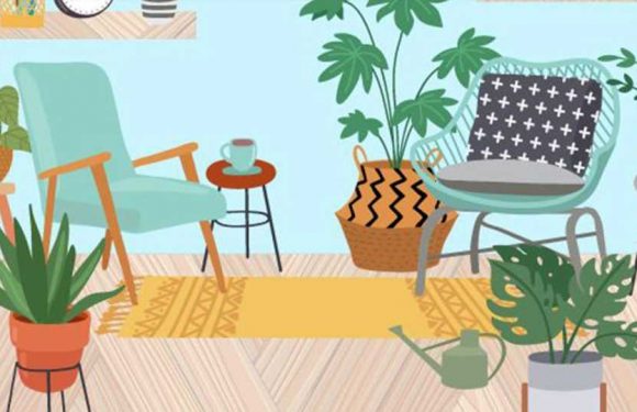 You’re a brainteaser buster if you can find all 6 caterpillars in under 25 seconds | The Sun