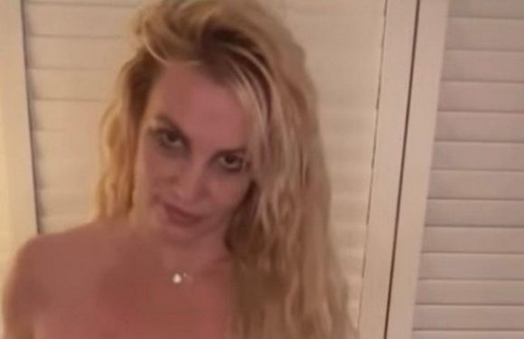 Britney Spears has ‘manic meltdown’ as fans take photos of her in restaurant