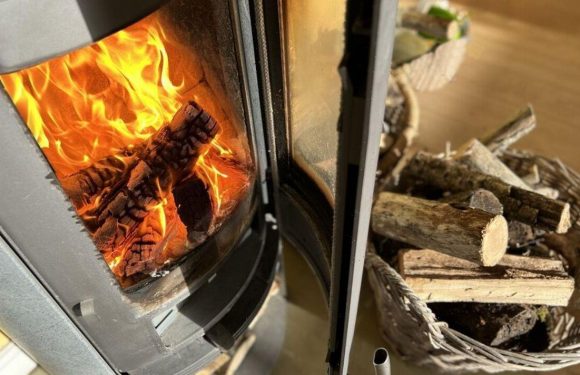 Britons warned of new log burner rule changes with old stoves banned