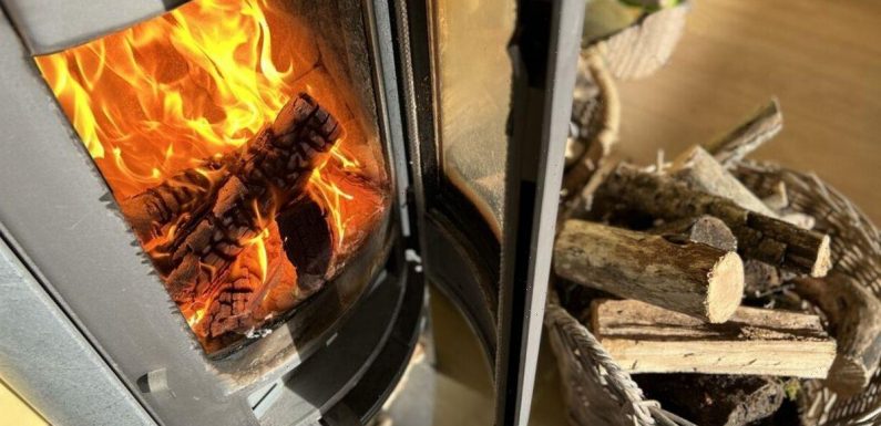 Britons warned of new log burner rule changes with old stoves banned