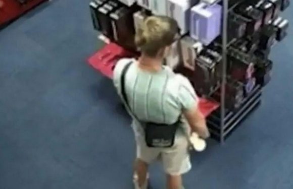 Cops hunt horny thief who walked out sex shop with ‘very big’ dildo in trousers