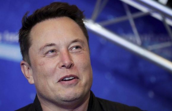 Elon Musk is behaving like ‘the richest troll on Earth’, says gun victim’s dad