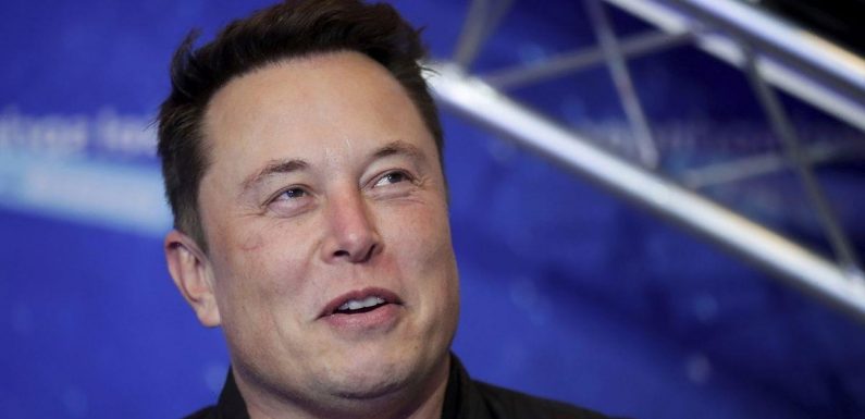 Elon Musk is behaving like ‘the richest troll on Earth’, says gun victim’s dad