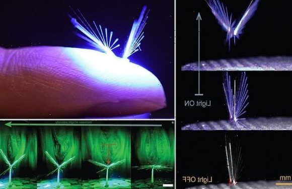 Fairy-inspired robot uses wind and light energy to fly