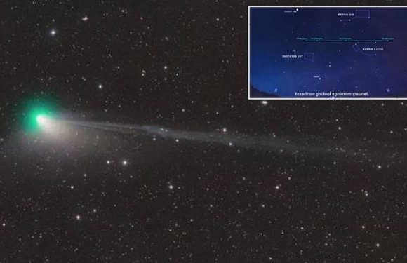 Green comet that will be visible next month loses part of its TAIL