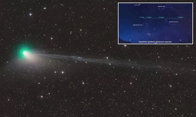 Green comet that will be visible next month loses part of its TAIL
