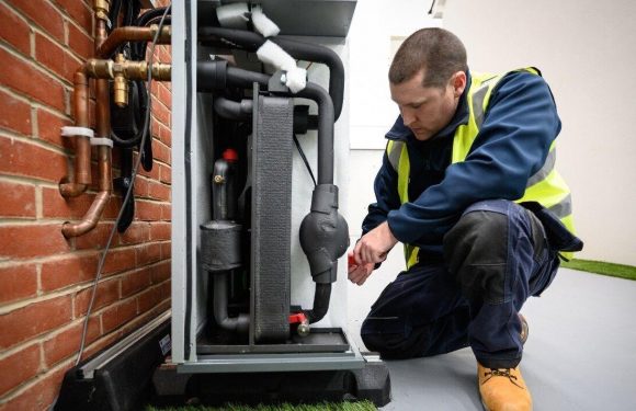 Heat pump nightmare as engineer shortage may deal ‘blow’ to target