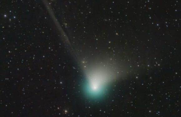 How to see comet soaring past Earth for first time in 50,000 years