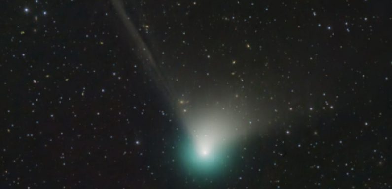 How to see comet soaring past Earth for first time in 50,000 years
