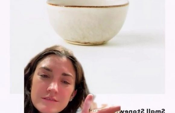 I ordered a cute set of bowls from H&M Home at a bargain price… when they arrived I was totally mortified at my error | The Sun