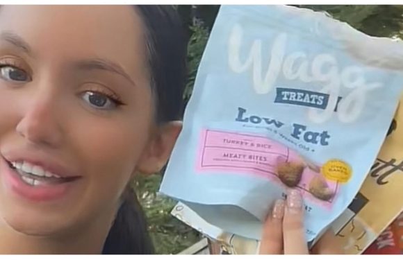 I taste tested my dog's treats, I've always wanted to try them – the results surprised me | The Sun