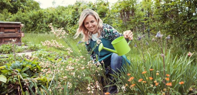 I'm a gardening whizz – the three jobs you should be doing in February to ensure you’ve got a lush green space by Spring | The Sun