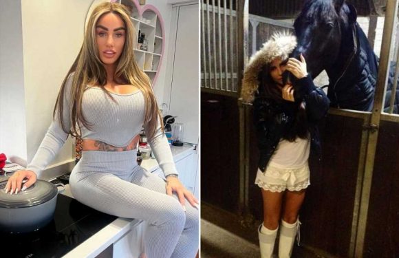 Katie Price mum-shamed for wearing ‘ridiculous’ outfit as fans rush to defend her | The Sun