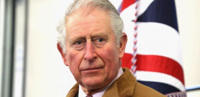 King Charles begged Harry and William: ‘Don’t make my final years a misery’, book claims