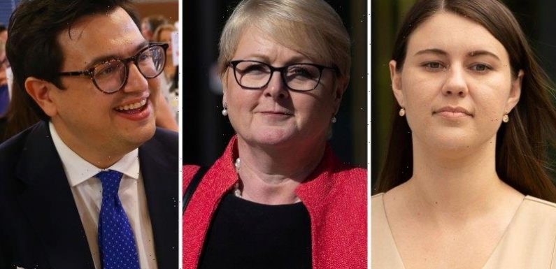 Liberal senator sues Higgins’ partner over ‘defamatory tweets’