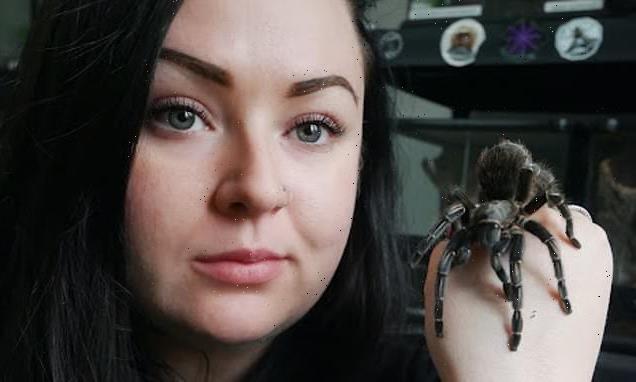 Meet the Mother of Tarantulas who owns hundreds of creepy crawlies