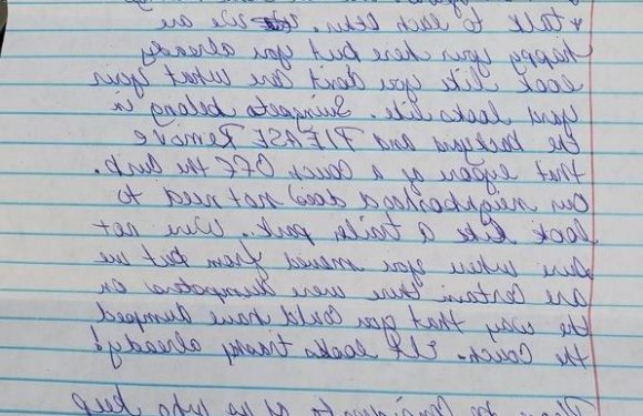 My neighbour wrote me a judgmental letter over the contents of my garden – they called me 'trashy'… who's in the right? | The Sun