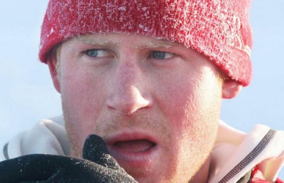 Prince Harry had ‘bespoke c**k cushion’ to avoid getting frostbitten penis again